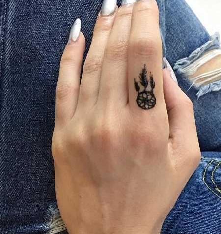 عکس تاج با حنا