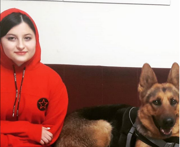 عکس سگ ژرمن سارا و نیکا