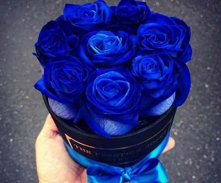 عکس گل زیبا برای پروفایل آبی