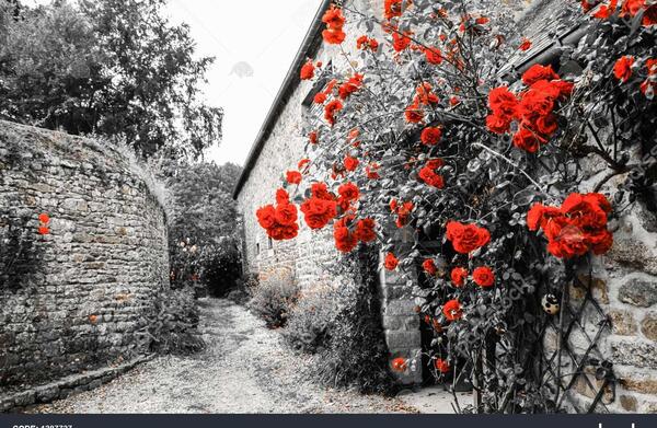 عکس قدیم فرانسه