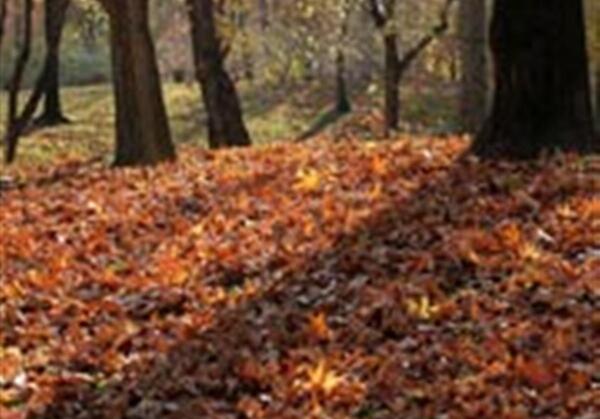 عکس پاییز پارک ملت