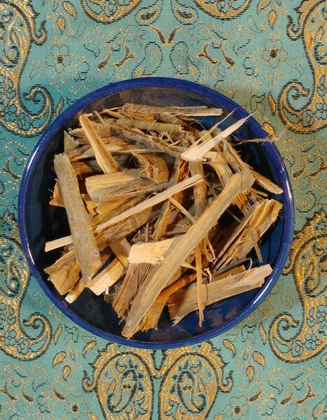 عکس پوست درخت بید