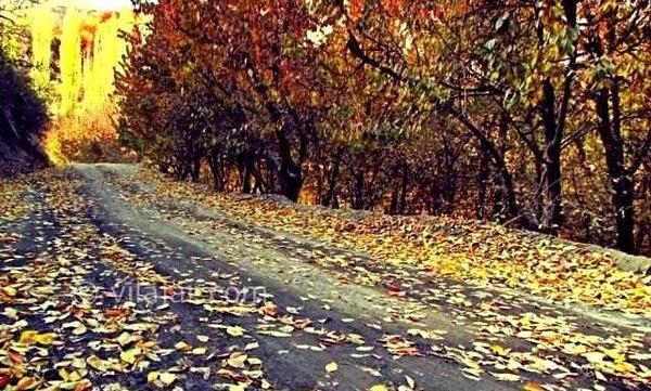 عکس پاییز شاندیز