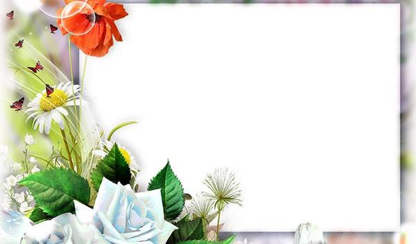 عکس های لایه باز فتوشاپ