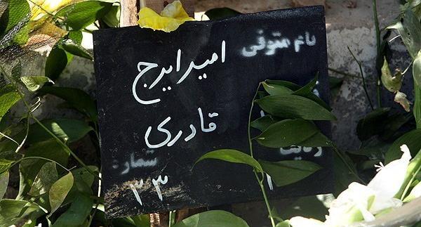 عکس قبر ایرج قادری