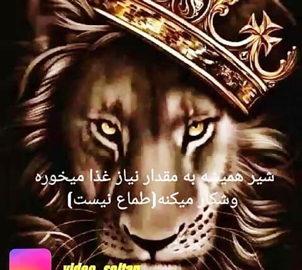 عکس تاج و شیر