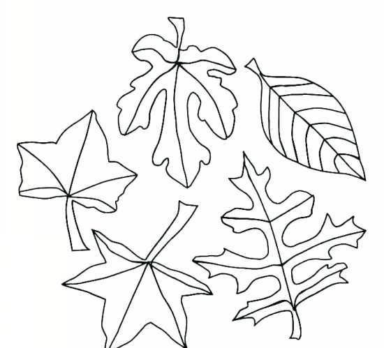عکس پاییز طراحی