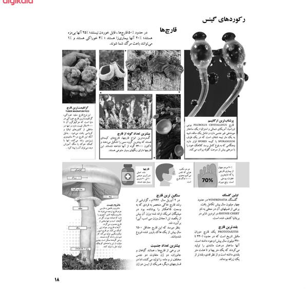 عکس و تصویر ذهنی در جدول