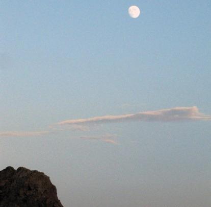عکس شاه سفید کوه