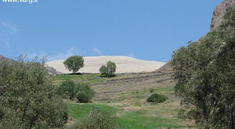 عکس شاه سفید کوه