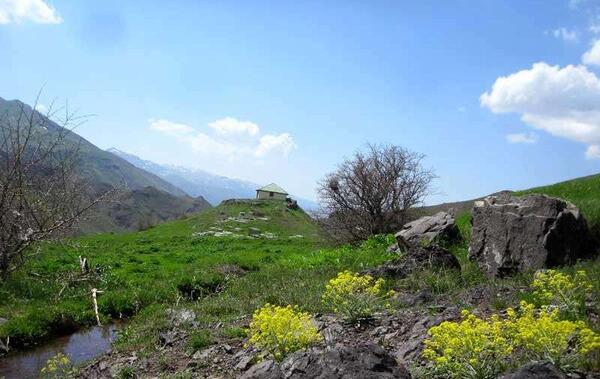 عکس شاه سفید کوه