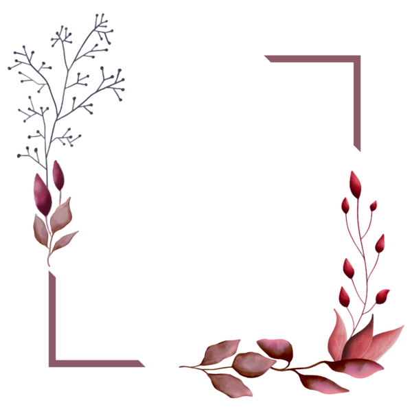 عکس حاشیه png