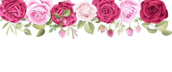عکس حاشیه png
