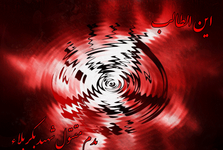 عکس متحرک ضریح امام حسین