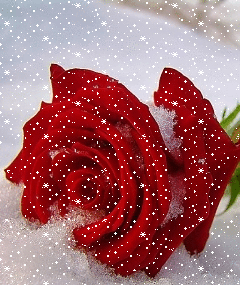 عکسهای زیبا پاییز تهران