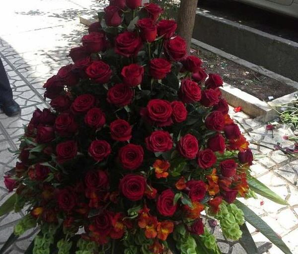 عکس گل ایستاده