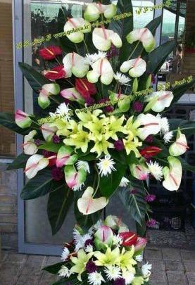 عکس گل ایستاده
