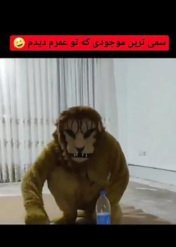 عکس شیر تعزیه