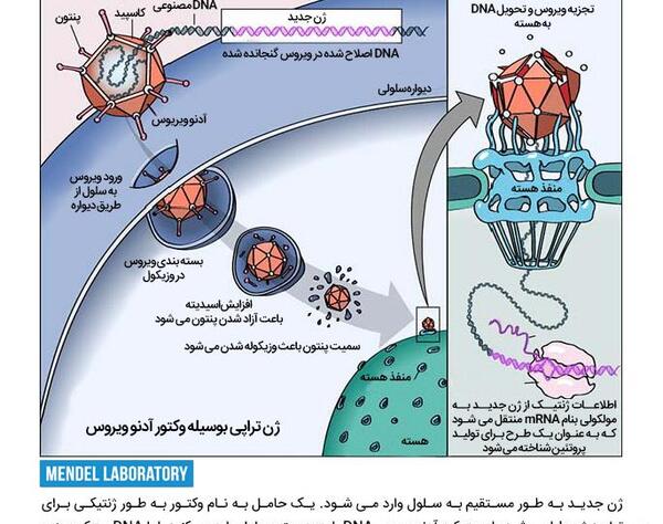 عکس دانلود وکتور ژن درمانی