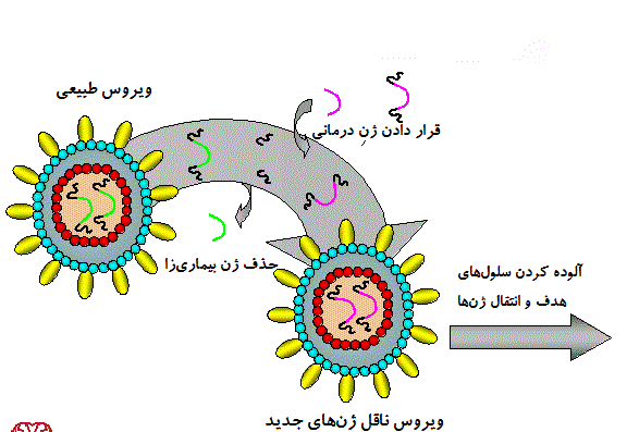 عکس دانلود وکتور ژن درمانی