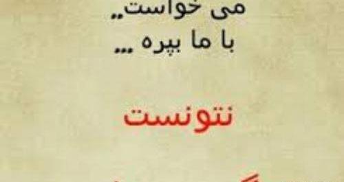 عکس پروفایل زن داداش بدجنس