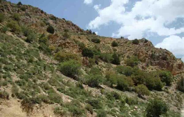 عکس مرز ایران و ترکمنستان