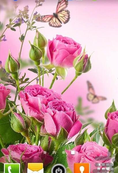 عکس گلهای زیبا برای زمینه گوشی