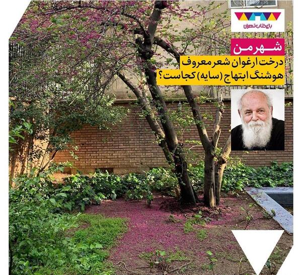 عکس خانه ی ارغوان