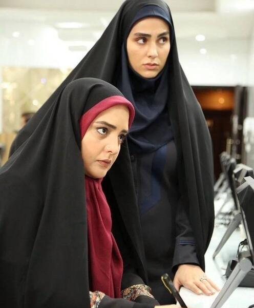 عکس حدیث میرامینی در ستایش