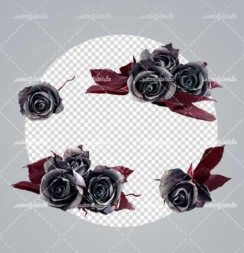 عکس گل سیاه برای تسلیت
