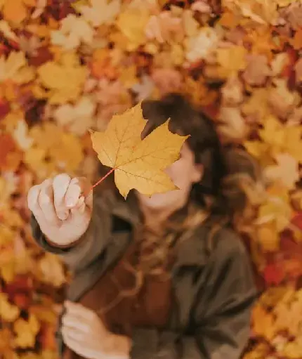 عکس پاییز دخترانه فانتزی