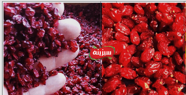 عکس انواع زرشک
