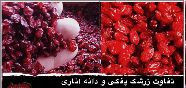 عکس انواع زرشک