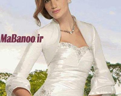 عکس یقه ایستاده سر خود