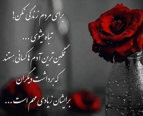 عکس پروفایل گور بابای حرف مردم