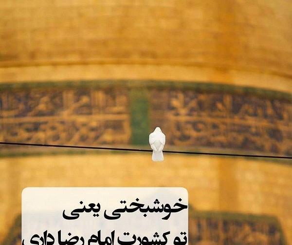 عکس پروفایل خوشبختی یعنی تو زندگیت امام رضا داری