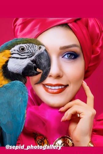 عکس همسر طوطی سلیمی