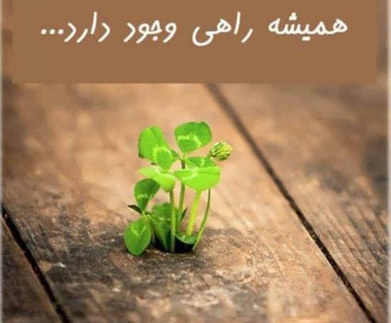 عکس پروفایل مفهومی موفقیت