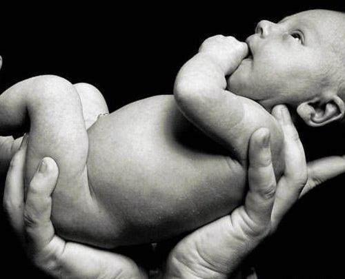 عکس ایده های ژنتیکی