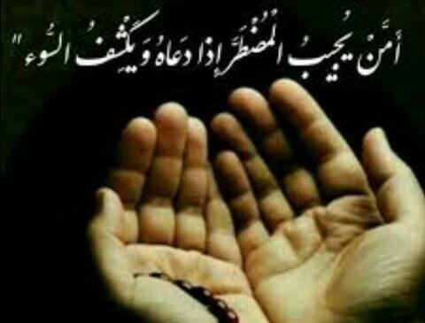 عکس پروفایل عمه یجیب