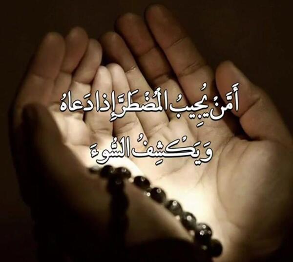 عکس پروفایل عمه یجیب