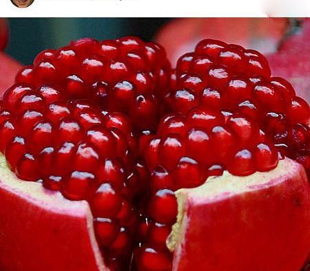عکس یلدا سلطانی