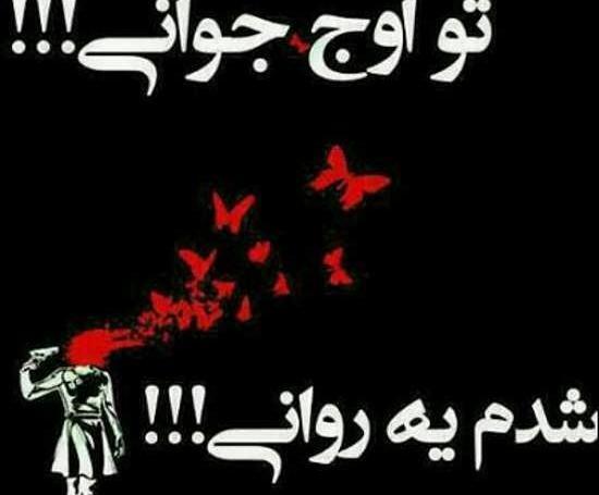 عکس درباره جوانی