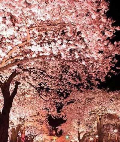 عکس جاهای رویایی