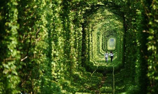 عکس جاهای رویایی