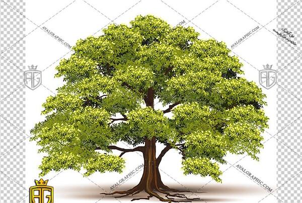 عکس وکتور درخت