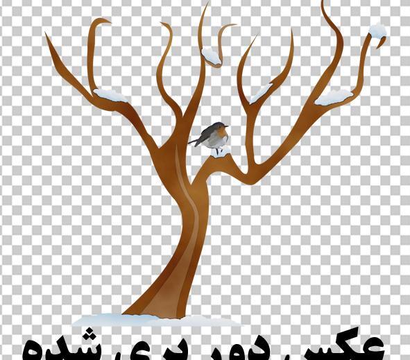عکس وکتور درخت