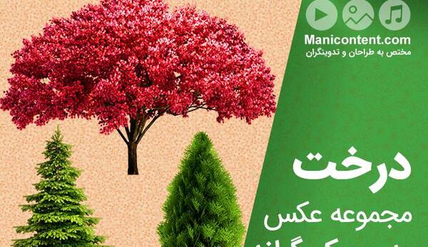 عکس وکتور درخت