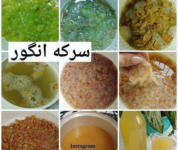 عکس پشه سرکه