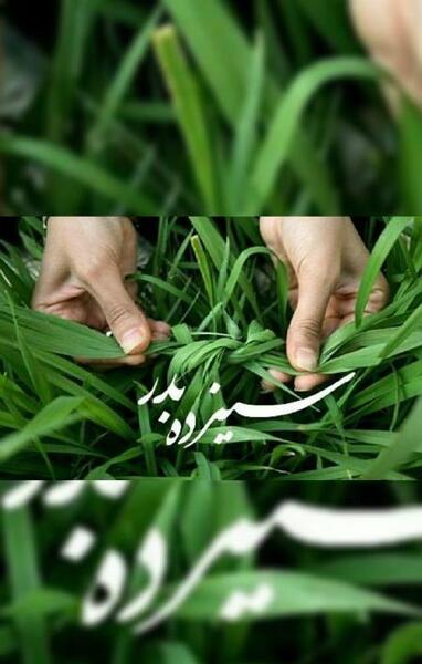 عکس برای استوری سیزده بدر
